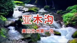刘涛刚出道时的照片,长成这般模样,和现在相比简直判若两人